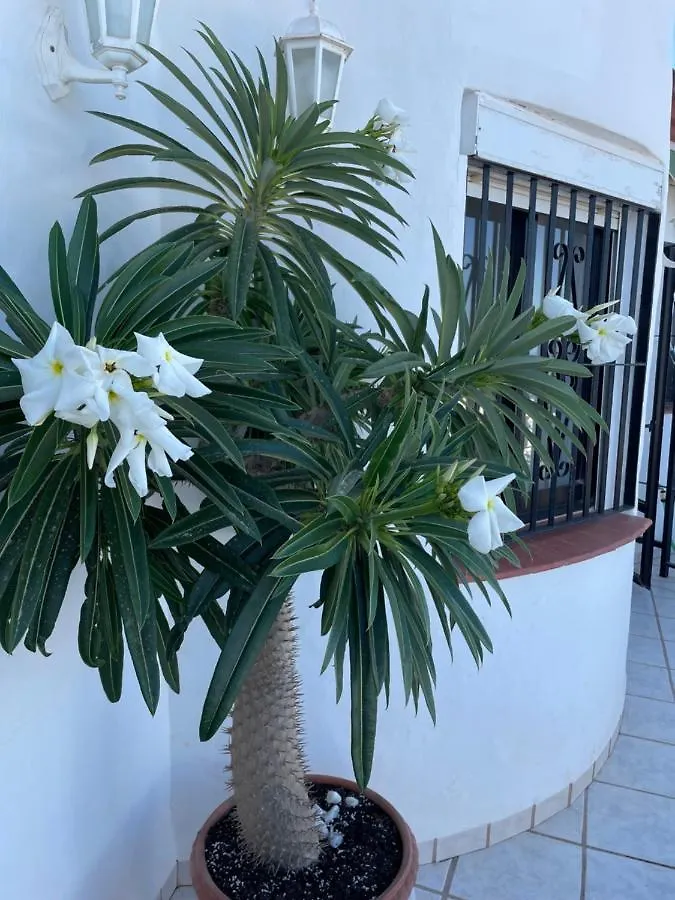 Villa Ladera Panorama - Private Heated Pool Nerja Spain